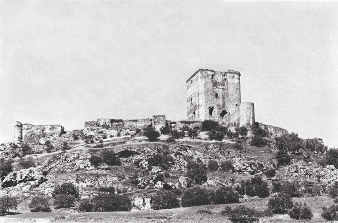 Vista del castillo1